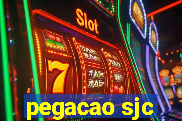 pegacao sjc